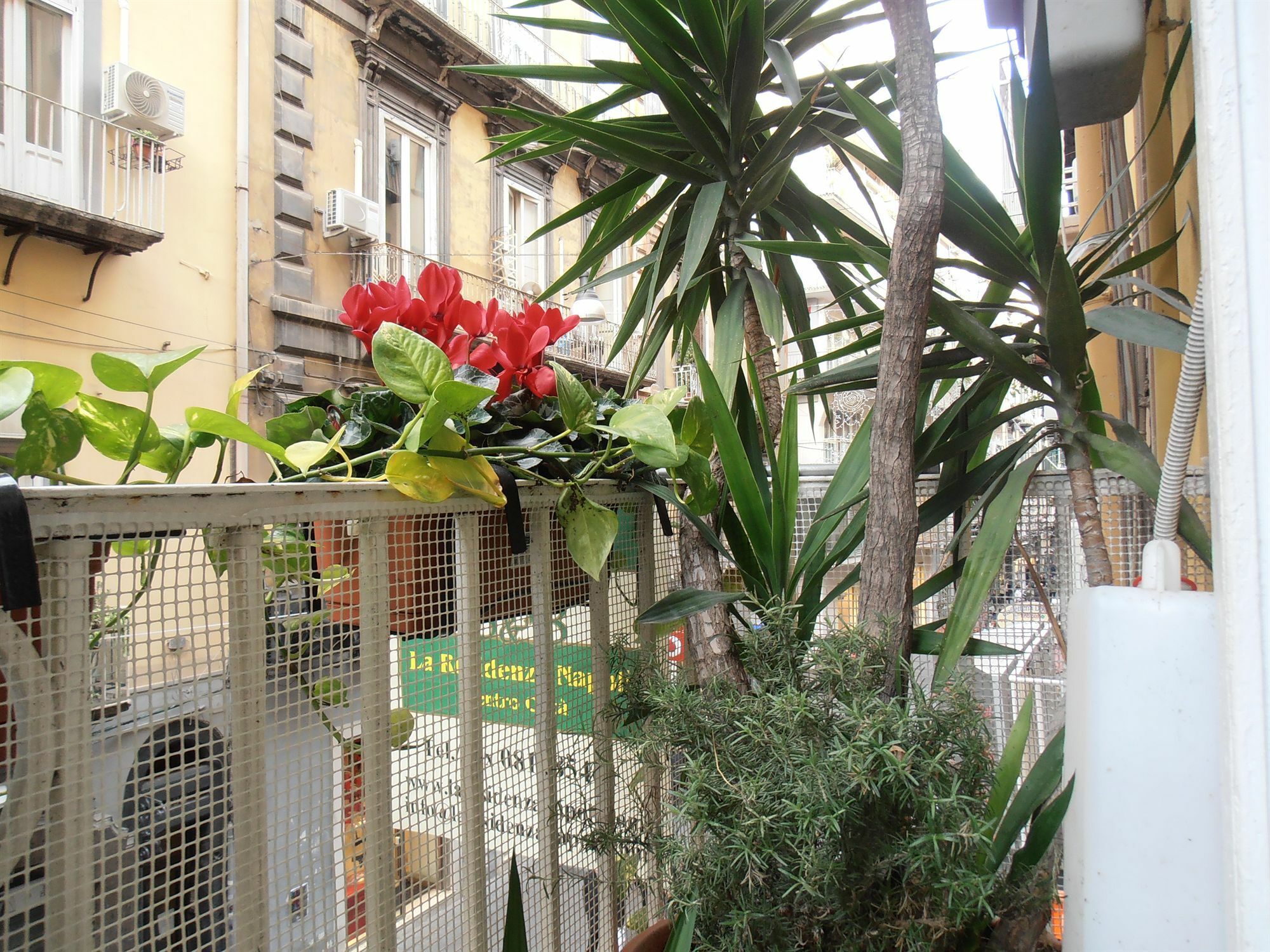 Bed & Breakfast Plebiscito Home Napoli Eksteriør billede